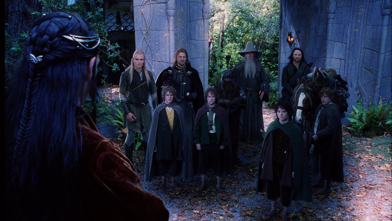 The Lord of the Rings: The Fellowship of the Ring
