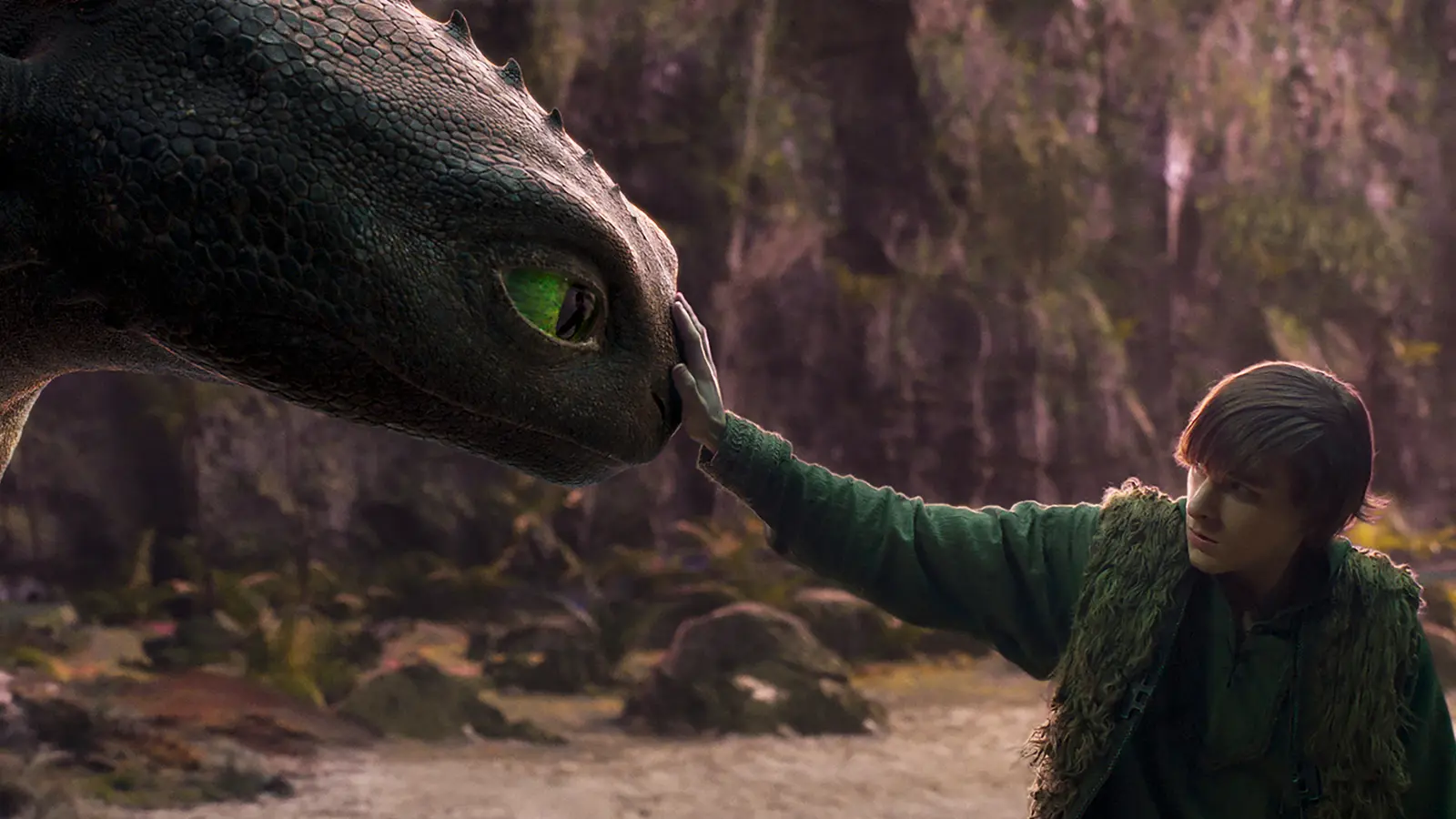 How to Train Your Dragon