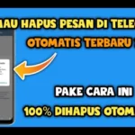 penghapus obrolan otomatis